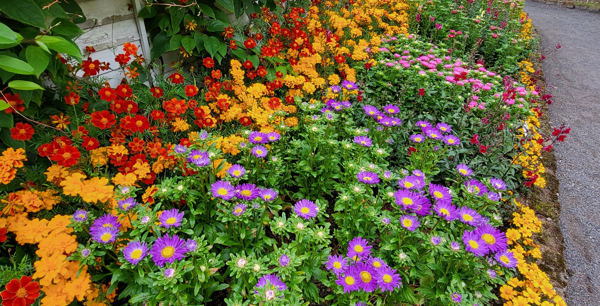 Free Guided Tour in Icelandic at the Reykjavik Botanic Garden