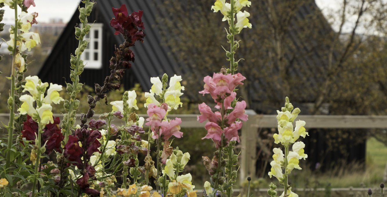 Blómvendir beint úr beði - Blómvandasmiðja
