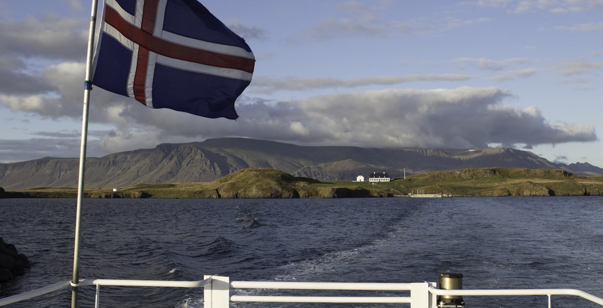 Pólsk leiðsögn í Viðey