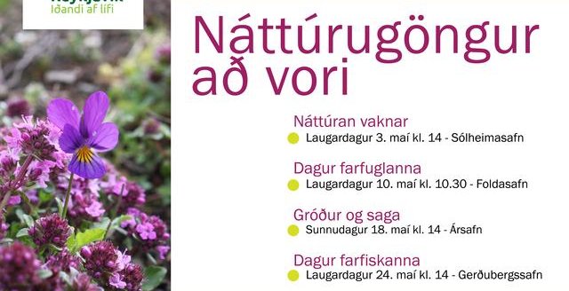 REYKJAVÍK IS BURSTING WITH LIFE: PLANTS & HISTORY