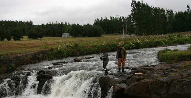 Nature walk from Gerðuberg LIbrary