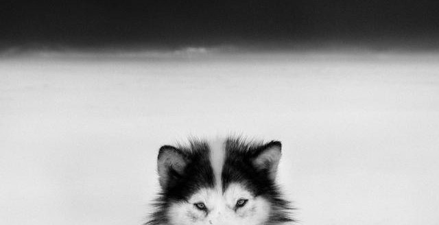 Ragnar Axelsson MIRROR OF LIFE